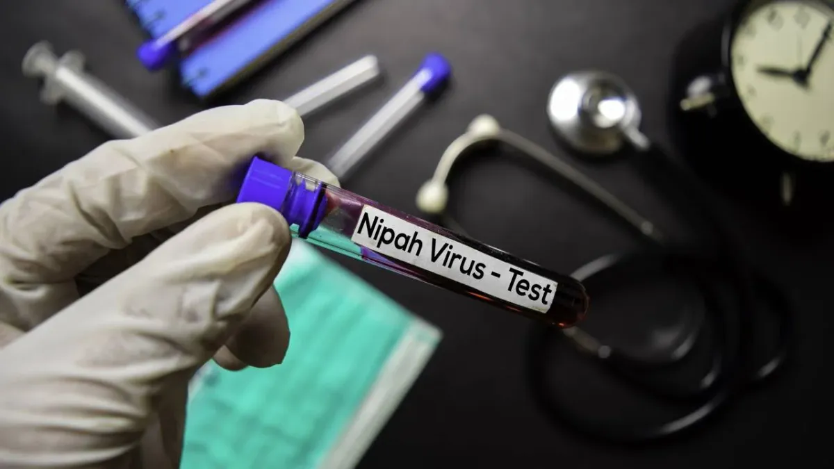 OMS diz que risco de propagação do vírus Nipah é baixo após surto na Índia