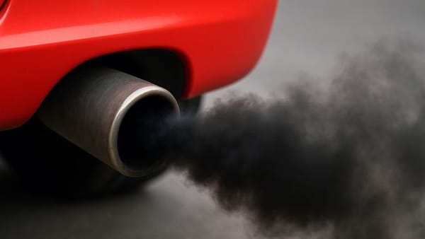 Adolescentes desenvolvem filtro que transforma gases poluentes em oxigênio