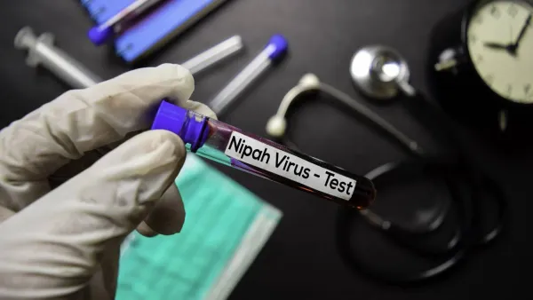 OMS diz que risco de propagação do vírus Nipah é baixo após surto na Índia