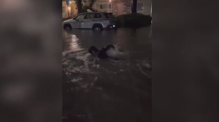 Man goes swimming in waist-deep Santa Cruz floodwater