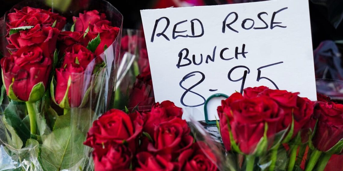 Temores de escassez de rosas vermelhas no Dia dos Namorados por causa dos cheques do Brexit