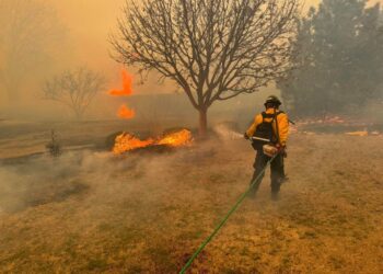 Atualizações ao vivo sobre incêndios no Texas: o maior incêndio florestal de todos os tempos no estado está apenas 15% contido após cinco dias