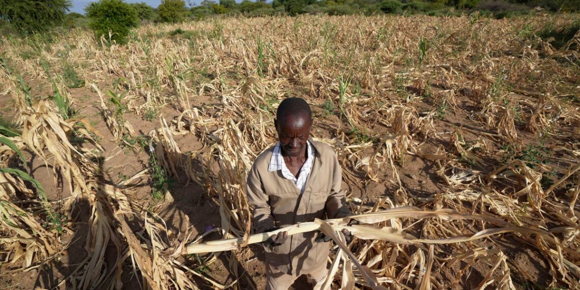 Num ciclo de condições climáticas extremas, a seca na África Austral deixa cerca de 20 milhões de pessoas em situação de fome