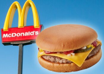 Os fãs do McDonald's dão as boas-vindas ao novo item do menu após o anúncio da parceria