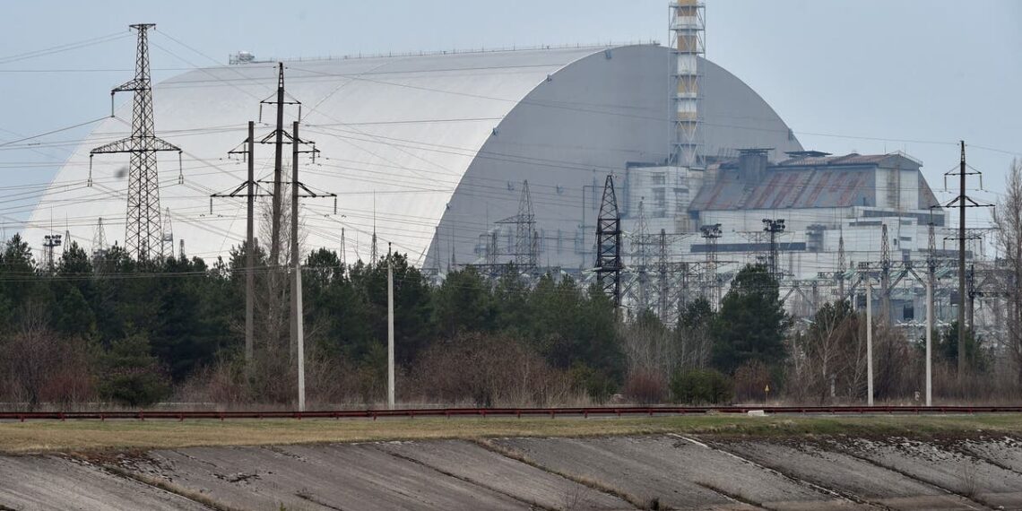 Vermes que vivem perto da usina nuclear de Chernobyl desenvolveram um ‘superpoder’