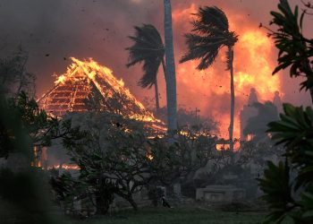 Evacuações bloqueadas e falhas de pessoal reveladas pelo relatório do incêndio florestal em Maui