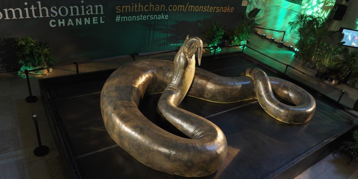 Cientistas na Índia podem ter descoberto a cobra mais longa que já existiu