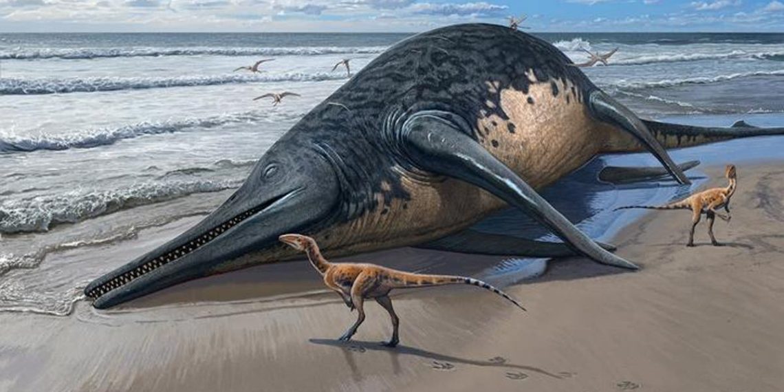 Descoberta de fóssil de menina de 11 anos leva à descoberta do maior réptil marinho conhecido
