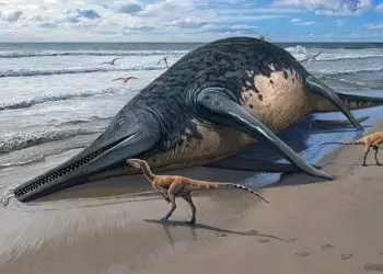 Descoberta de fóssil de menina de 11 anos leva à descoberta do maior réptil marinho conhecido