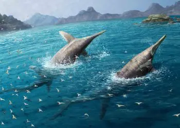 Pesquisadores identificam ictiossauro que pode ser o maior réptil marinho conhecido