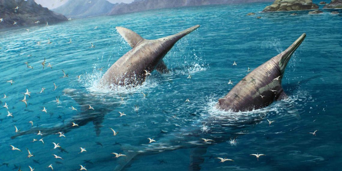 Pesquisadores identificam ictiossauro que pode ser o maior réptil marinho conhecido