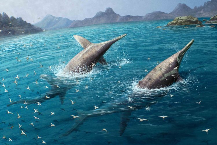 Pesquisadores encontram ictiossauro gigante possivel maior reptil marinho ja