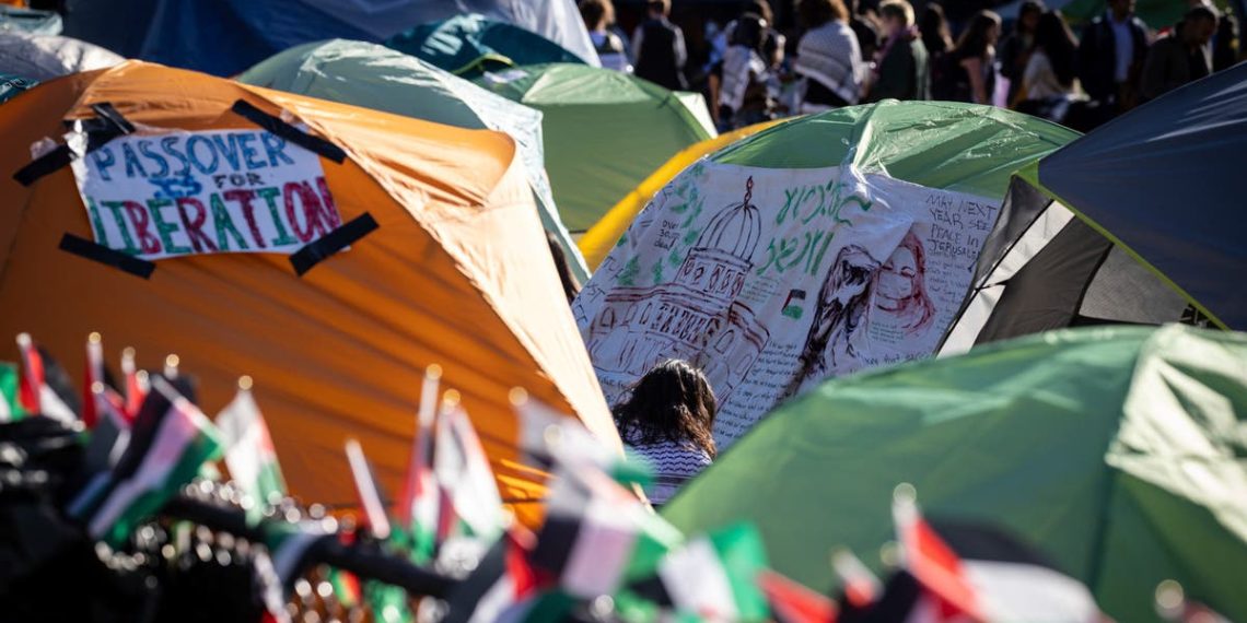 Senado da Colômbia pede investigação do presidente da universidade pela reação aos protestos em Gaza