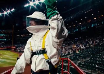 Pest control gets hero’s welcome at MLB stadium after bee colony delays game