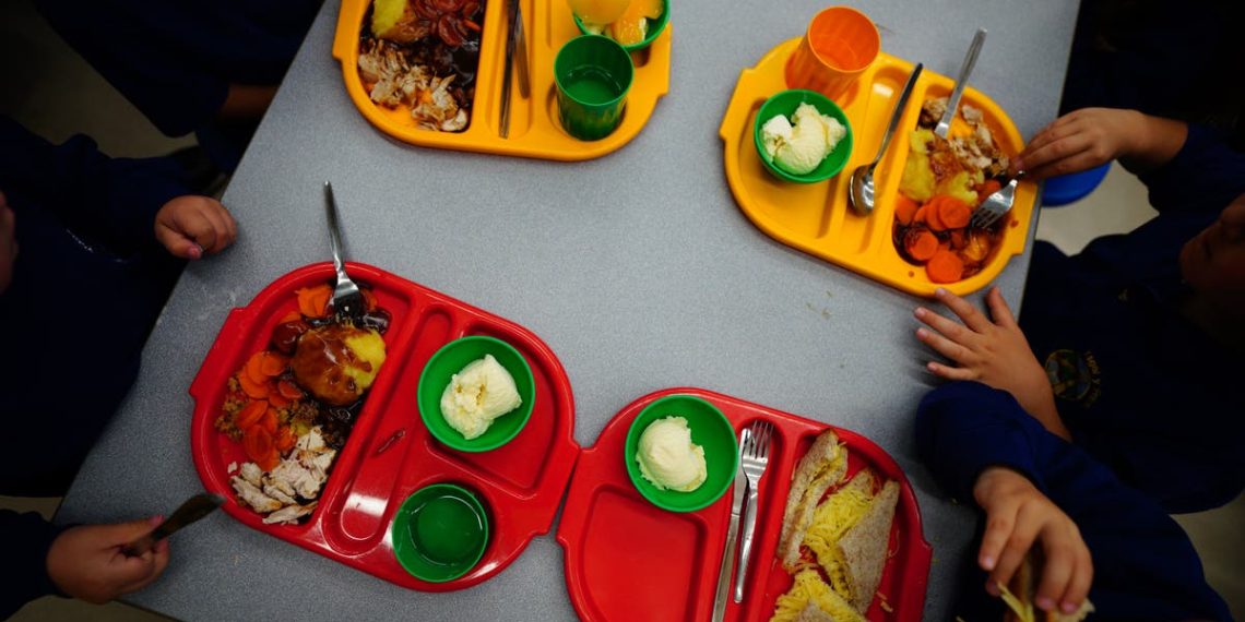 Crianças que não se qualificam para merenda escolar gratuita estão com tanta fome que estão 'comendo borrachas', disseram os parlamentares