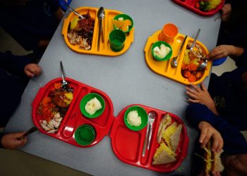 Crianças que não se qualificam para merenda escolar gratuita estão com tanta fome que estão 'comendo borrachas', disseram os parlamentares