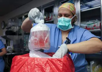 Primeira pessoa a fazer um transplante de rim de porco geneticamente modificado morre meses depois