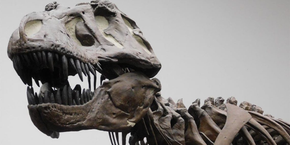 Os dinossauros não eram tão inteligentes quanto pensávamos anteriormente