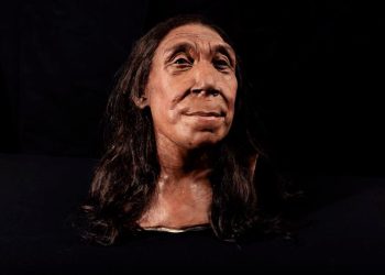 Rosto de mulher neandertal enterrada em caverna iraquiana há 75 mil anos é revelado