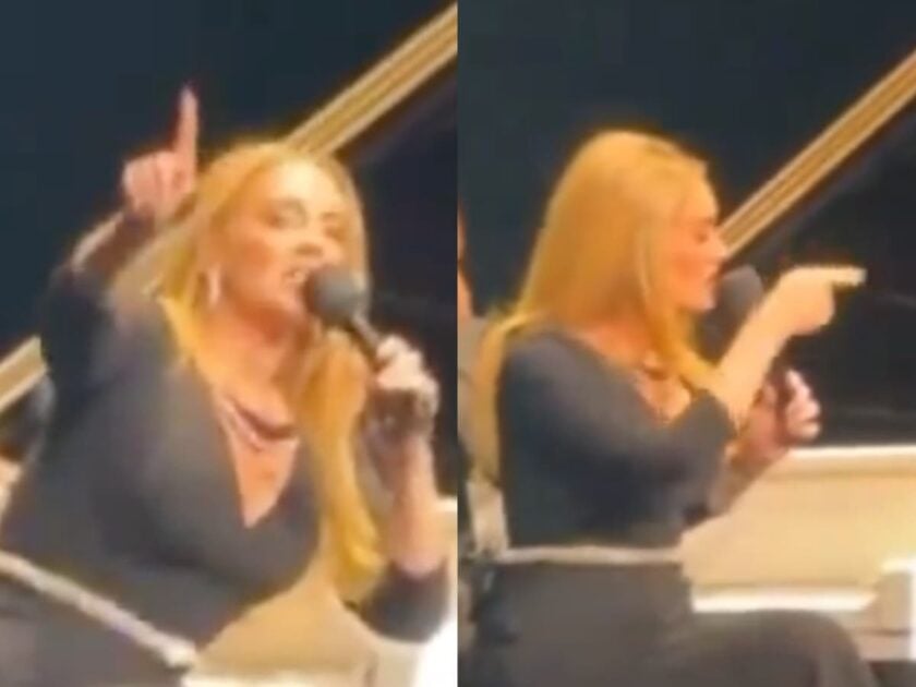 Adele scolds homophobic fan at concert: ‘Are you stupid?’