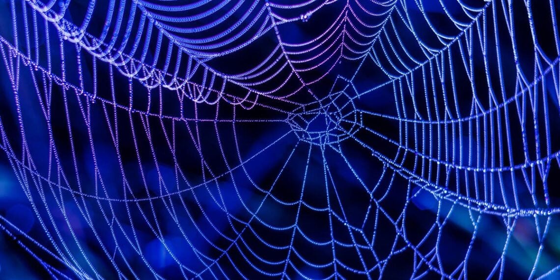 Cientistas criam teias de aranha artificiais para tratar feridas crônicas