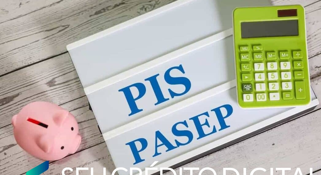 PIS/Pasep 2024: saiba como consultar o saldo e sacar - Seu Crédito Digital