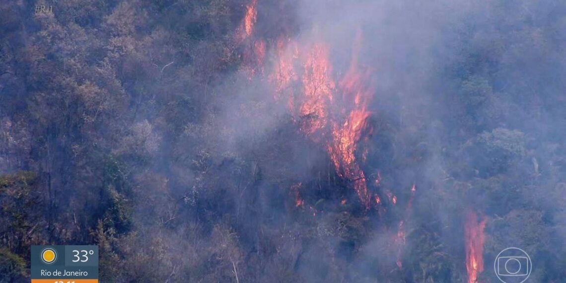 Após fechamento de parques, gabinete de crise se reúne no RJ para definir estratégia de combate a incêndios - G1