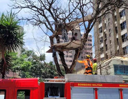 Homem que fez 'casa' em árvore é resgatado após seis horas - Estado de Minas