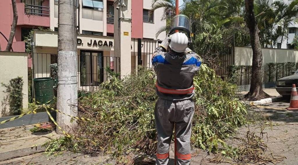 Tarcísio pede que TCU ajude a cobrar mais firmeza da Aneel contra Enel - UOL