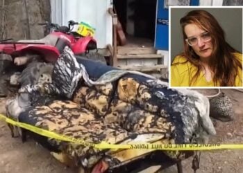 Mulher acusada de jogar gasolina na vítima enquanto ela estava sentada no sofá e atear fogo nela