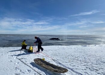 Um robô ficou preso sob o gelo da Antártica anos atrás. Seus dados revelaram agora um problema ainda maior