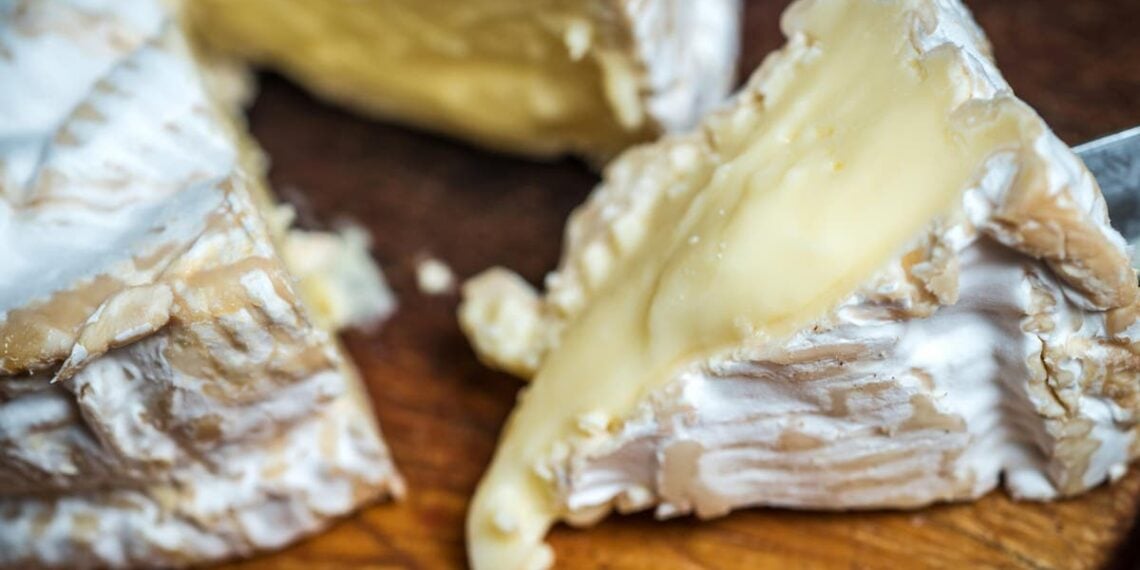 Os fabricantes tradicionais de camembert vencem uma batalha legal histórica contra os principais fabricantes