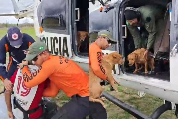 Cinco pessoas e três cachorros são resgatados de enchente no Ceará após rompimento de barragem - O POVO