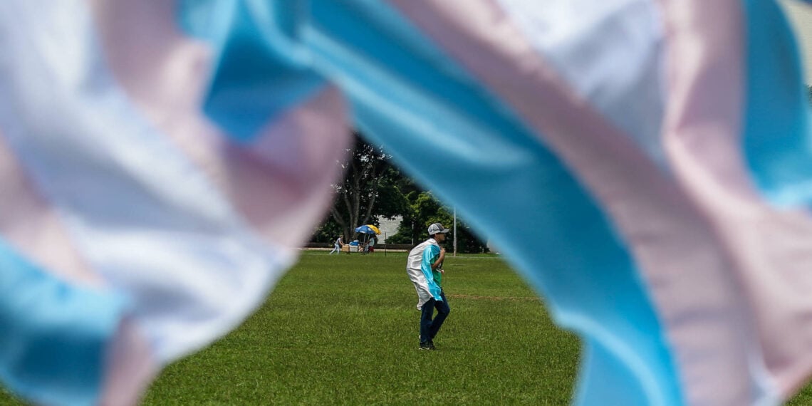 Parlamentares trans vão a Brasília discutir avanço de ameaças - UOL