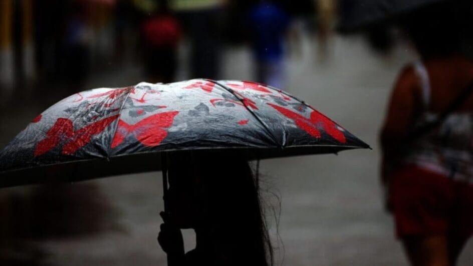 Fim da chuva? Final de semana em SC terá dia "típico de verão" e máximas próximas dos 38ºC